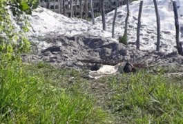 Polícia Civil aponta quatro suspeitos de matar três jovens em Maragogi