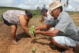 Comunidade do Pau d'Arco é beneficiada com 'Horta no Quintal'
