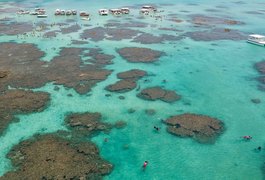 Litoral Norte de Alagoas tem quatro pontos impróprios para banho