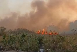 Incêndio em vegetação assusta moradores no bairro Baixa Grande, em Arapiraca