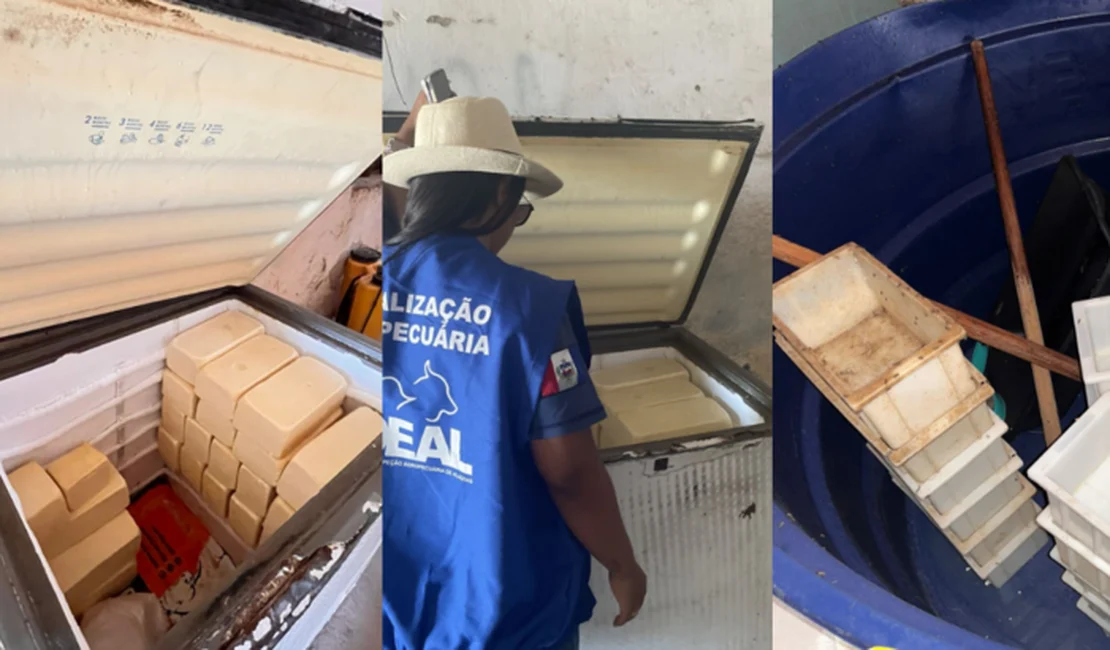 Fiscalização fecha queijaria que funcionava de forma irregular em São José da Tapera