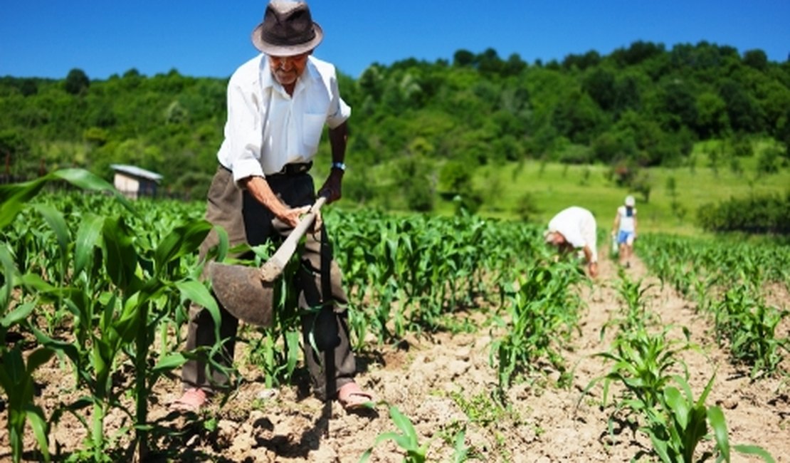 Deputados aprovam Auxílio Emergencial para agricultores familiares