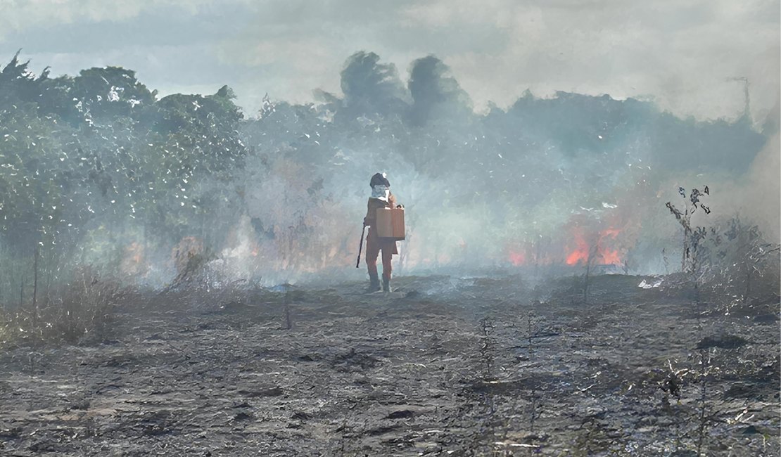 Bombeiros combatem incêndio em vegetação próxima a tubulações da Petrobras, em Arapiraca