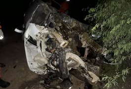 Carro capota após colidir em cabeceira de ponte e deixa um ferido na AL-220