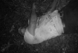 Mecânico é executado por disparos de arma de fogo no Agreste