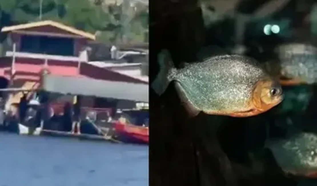 Homem é devorado por piranhas após se afogar em rio no Dia das Mães