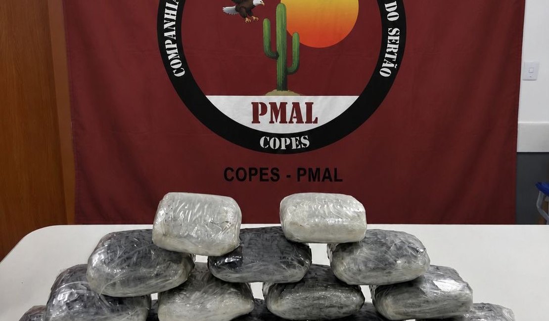 Operação Protetor Divisas apreende quase 8 kg de maconha escondidos em Mercedes-Benz na BR-316