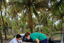 Instituto Biota resgata tartaruga-verde com trauma craniano na praia de Ipioca
