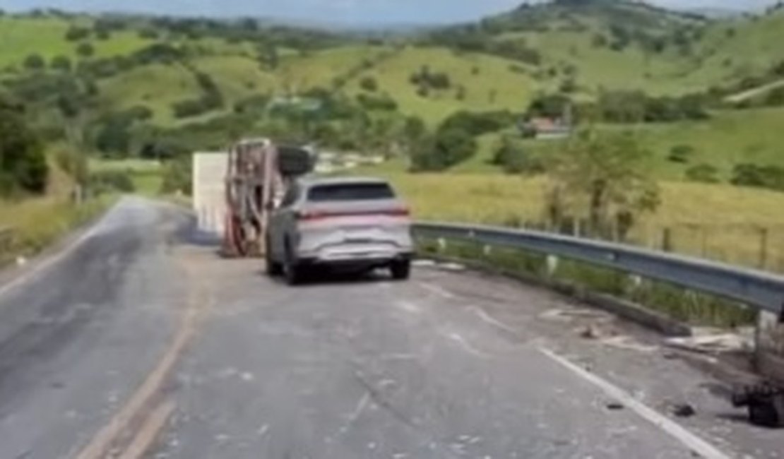 Caminhão carregado com frangos tomba na BR-424 entre Viçosa e Chã Preta