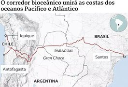 A megaestrada que ligará Brasil e Chile cruzando 'inferno verde' no Paraguai