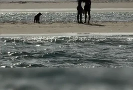 Bruna Marquezine e Shawn Mendes são flagrados se beijando em praia de Alagoas