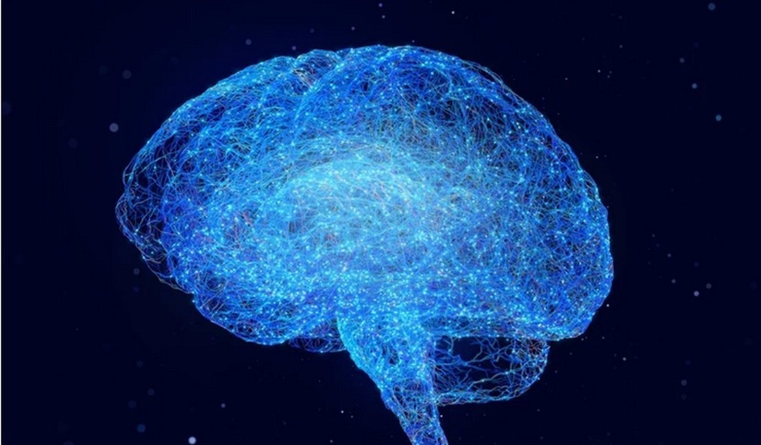 Ciência recupera atividade em cérebro congelado pela 1ª vez