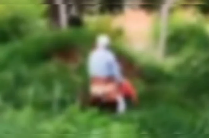 'O velhinho está melhor que você': Casal de idosos é flagrado fazendo sexo ao ar livre; assista