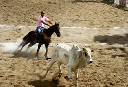 Plenário da Câmara aprova projeto que regulamenta a vaquejada