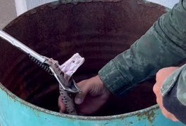 VÍDEO: Polícia Ambiental é acionada e realiza resgate de jiboia em Marechal Deodoro