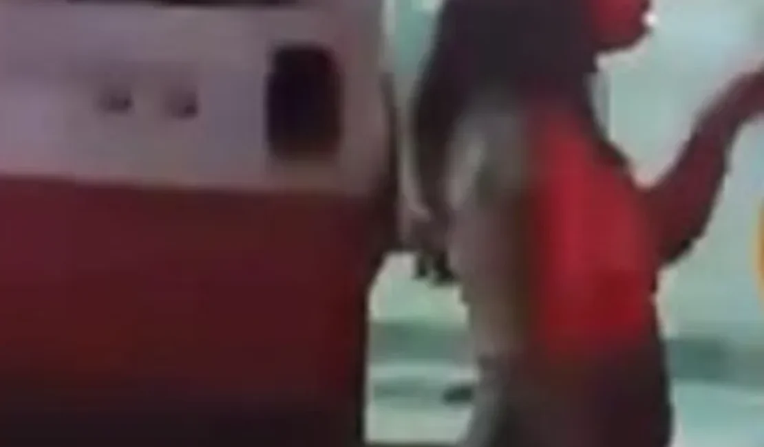 Menina de 7 anos foge e pede socorro a vizinhos após mãe esfaquear filha de 13 anos