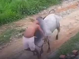 Idoso é surpreendido ao ser atingido violentamente por boi