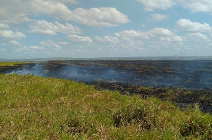 VÍDEO: Fogo atinge extensa área de vegetação na Zona Rural de Limoeiro de Anadia