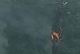 Fiação de internet pega fogo em poste de energia elétrica em Arapiraca