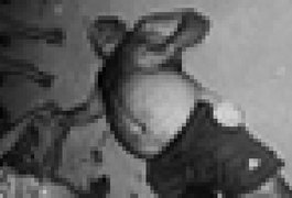 Idoso é morto a facadas após reagir a tentativa de assalto no interior do estado