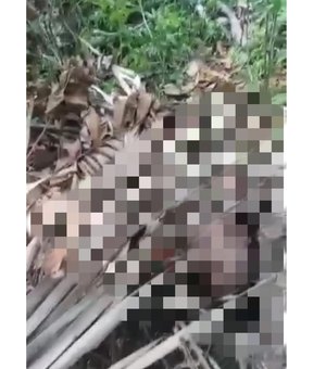 Dois cadáveres são encontrados em covas rasas na cidade de Coruripe