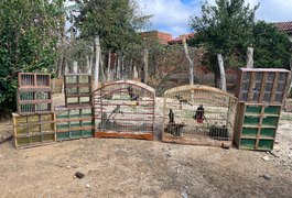 MPAL participa de duas operações nacionais de combate ao tráfico que resultam no resgate de 755 animais silvestres e prisão de um dos maiores traficantes do Brasil