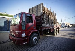 FPI do São Francisco apreende madeira que estava sendo retirada de área de preservação