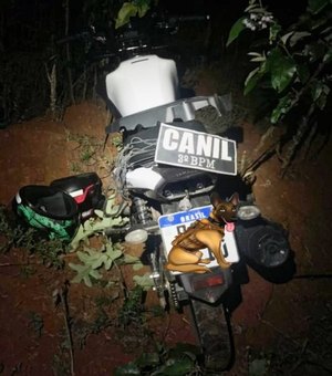 Moto roubada é localizada em mata, próximo ao residencial Agreste, em Arapiraca
