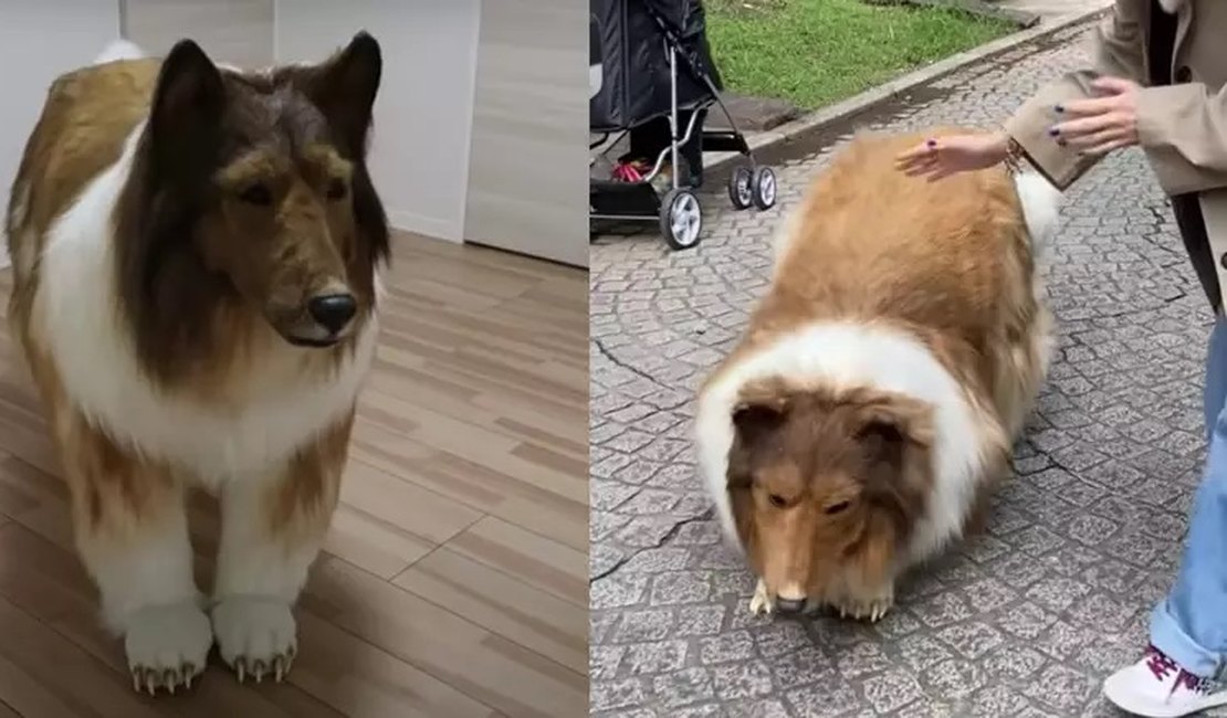 Homem que gastou R$ 72 mil para virar cão agora quer 'fêmea' para ter companhia