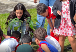 Mais de 125 mil mudas plantadas fortalecem áreas verdes de Penedo
