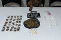 Com apoio de cão farejador, policiais militares apreendem diversos tipos de drogas no Conjunto Frei Damião