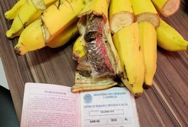 Mulher é presa com maconha escondida em cacho de banana no sistema prisional de Maceió