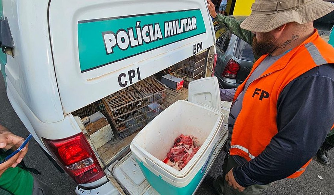 Fiscalização flagra venda de aves e de carne de preá em feira livre de Delmiro Gouveia