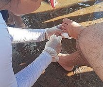 Especialista explica possíveis causas dos ataques de piranhas no Rio São Francisco