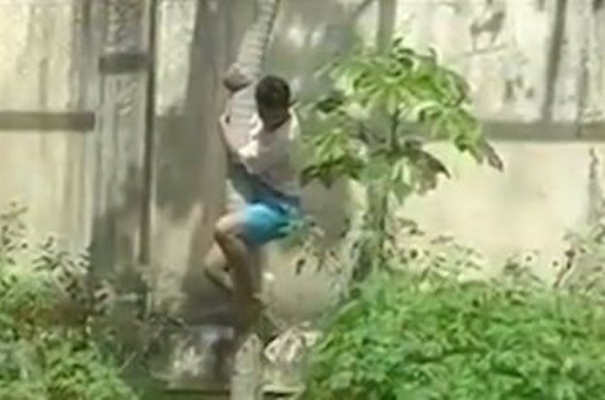 Vídeo: Homem é morto por leoa após entrar em jaula em zoológico de João Pessoa