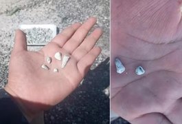 Cerca de 1.600 dentes de leite são achados em vala comum em fazenda no México