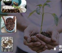 Alunos da Ufal no Sertão fazem compostagem para fertilizar solos
