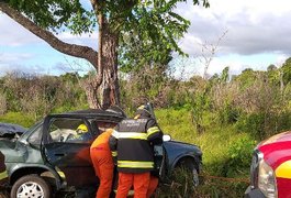 Uma pessoa morre e seis ficam feridas após colisão de carro em árvore em Penedo