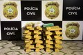 Ação policial em ônibus interestadual apreende 42,5kg de drogas em São Sebastião