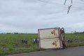 Caminhão frigorífico tomba após manobra na pista no interior de Alagoas