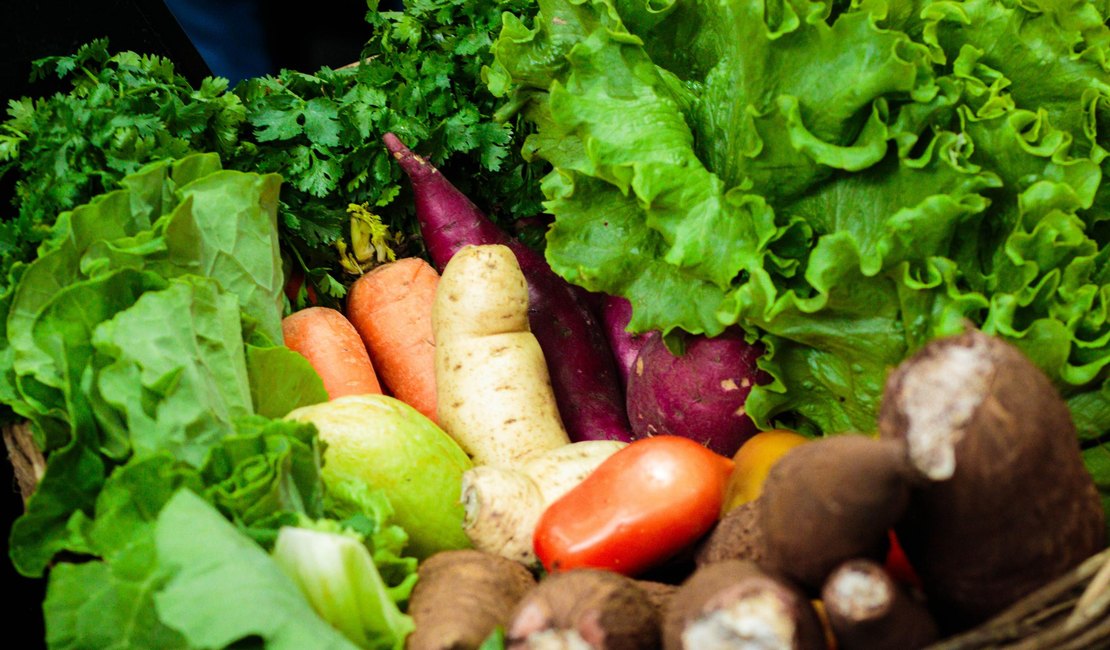 Governo envia pacote de justiça fiscal à ALE; proposta zera imposto de alimentos da cesta básica e protege receitas do Estado