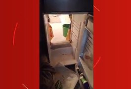 Polícia flagra passagem secreta dentro de geladeira que escondia plantação de maconha