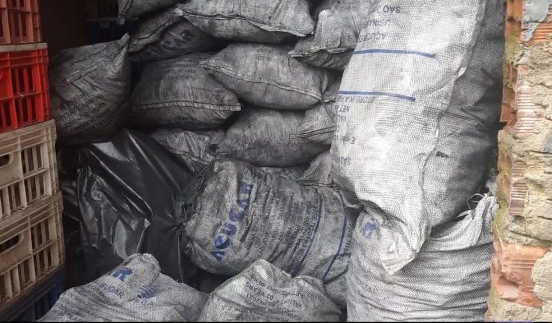 Polícia Ambiental flagra depósito e comércio de carvão ilegal em União dos Palmares, AL