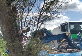 Colisão de caminhão em árvore deixa arapiraquenses feridos, em Major Izidoro