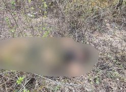 Suposta troca de tiros deixa dois jovens mortos em Junqueiro, Agreste de Alagoas