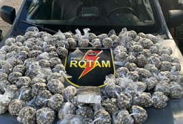 Casal é preso após polícia encontrar mais de 12kg de maconha em residência