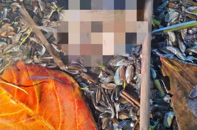 Mistério assustador: pé humano é encontrado abandonado em área de Maceió