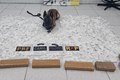 Operação intercepta carga de drogas avaliada em R$ 500 mil e prende traficante em Canapi