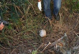 Esqueleto humano é localizado ao lado de residencial, em Arapiraca