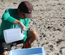 Amostras de praias dos litorais Norte e Sul indicam águas livres de contaminação
